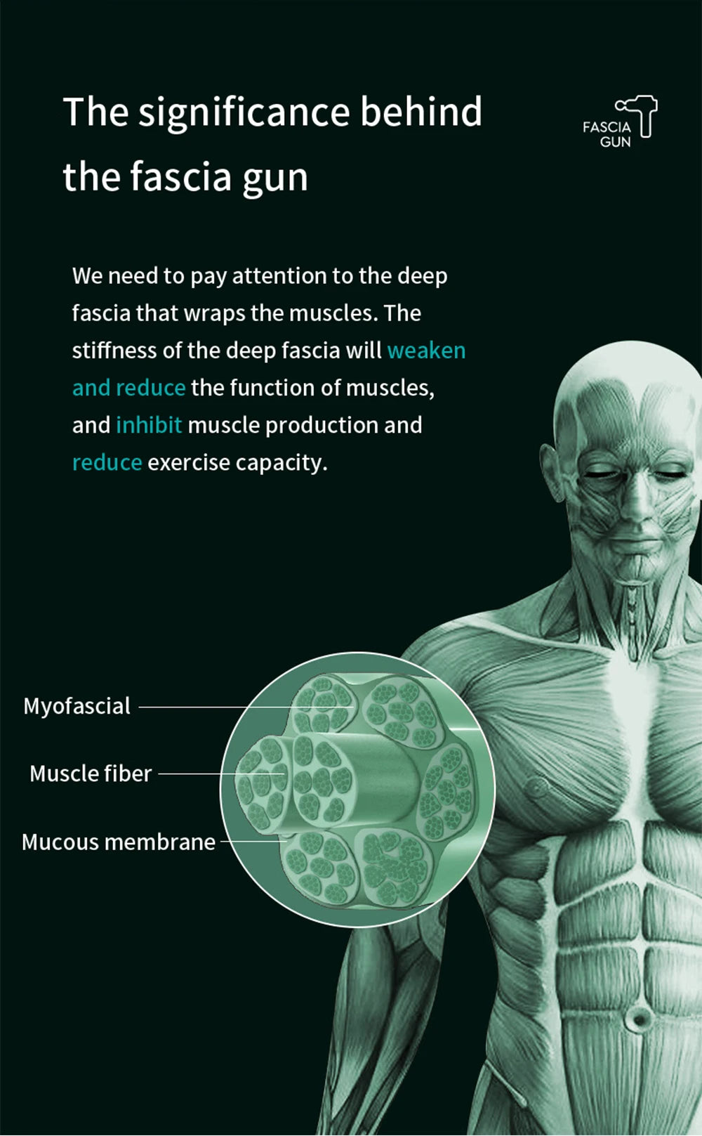 99 Speed Professional Muscle Massage Gun Massager Massager for Neck and Back Massage Instrument Dropshipping Fitness Equipment